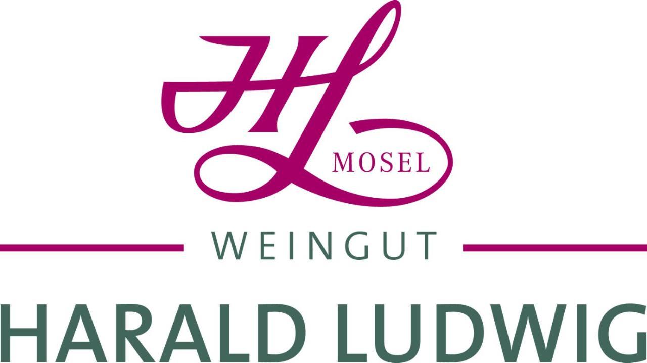 Weingut Harald Ludwig Apartamento Osann-Monzel Exterior foto