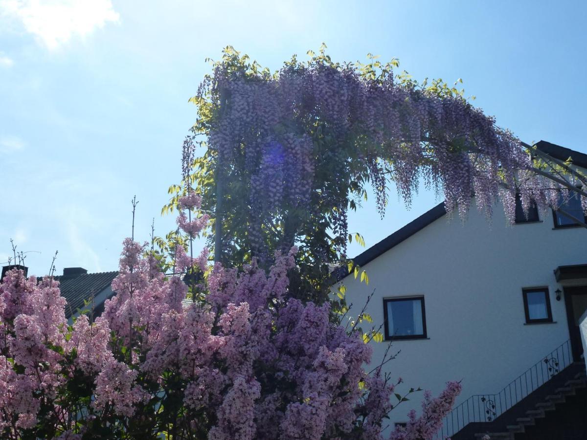 Weingut Harald Ludwig Apartamento Osann-Monzel Exterior foto