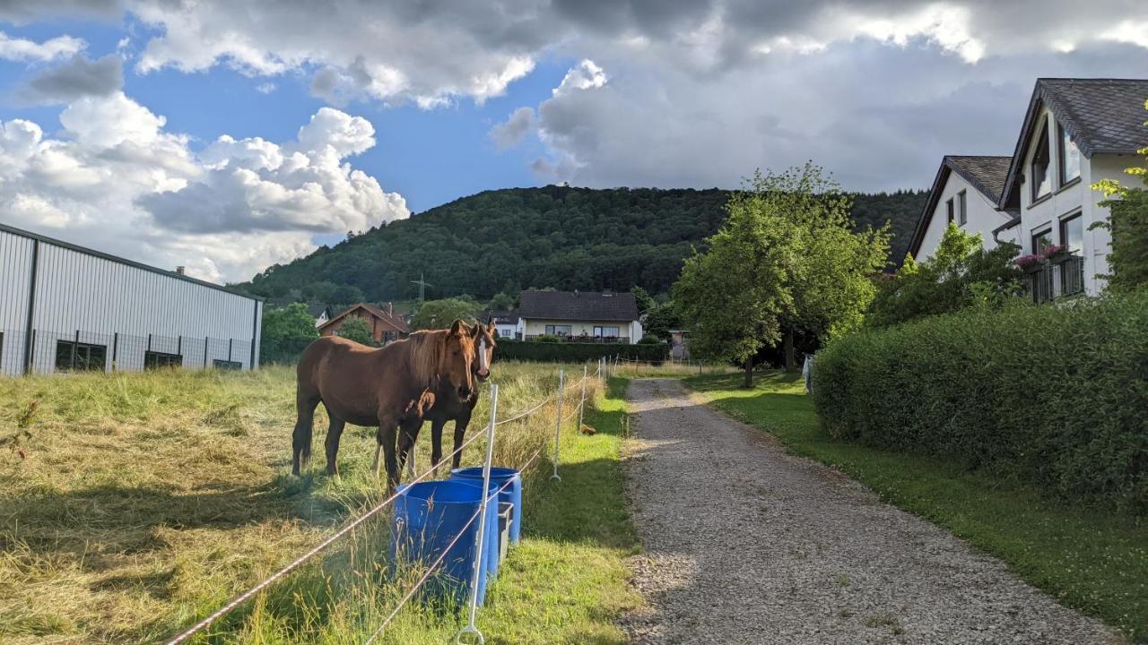 Weingut Harald Ludwig Apartamento Osann-Monzel Exterior foto