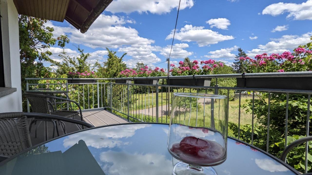 Weingut Harald Ludwig Apartamento Osann-Monzel Exterior foto